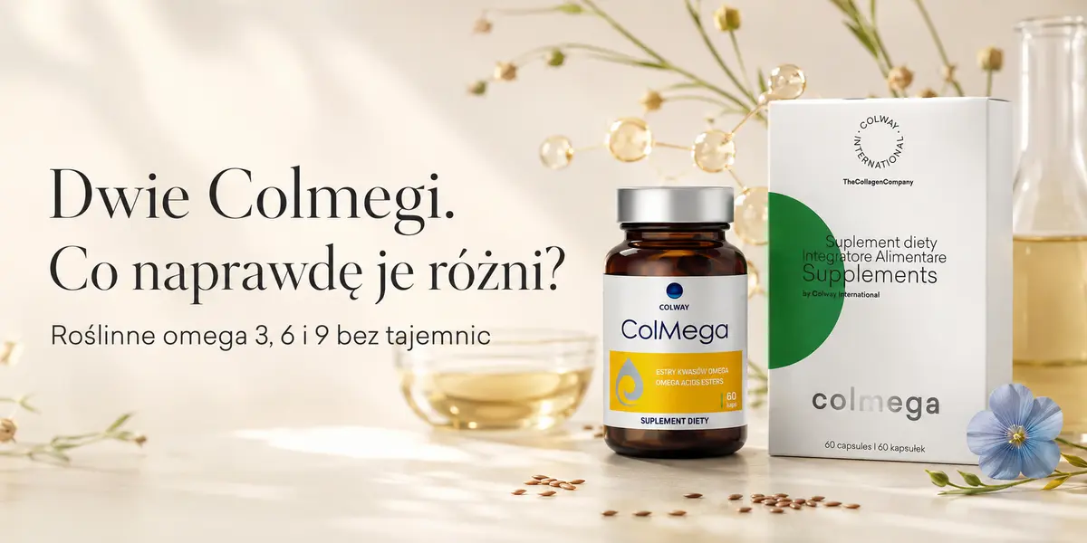 baner_artykul_Colmega&Colmega